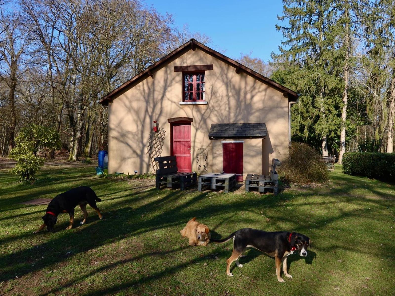 La Faisanderie Saint-Florent-sur-Cher Dış mekan fotoğraf
