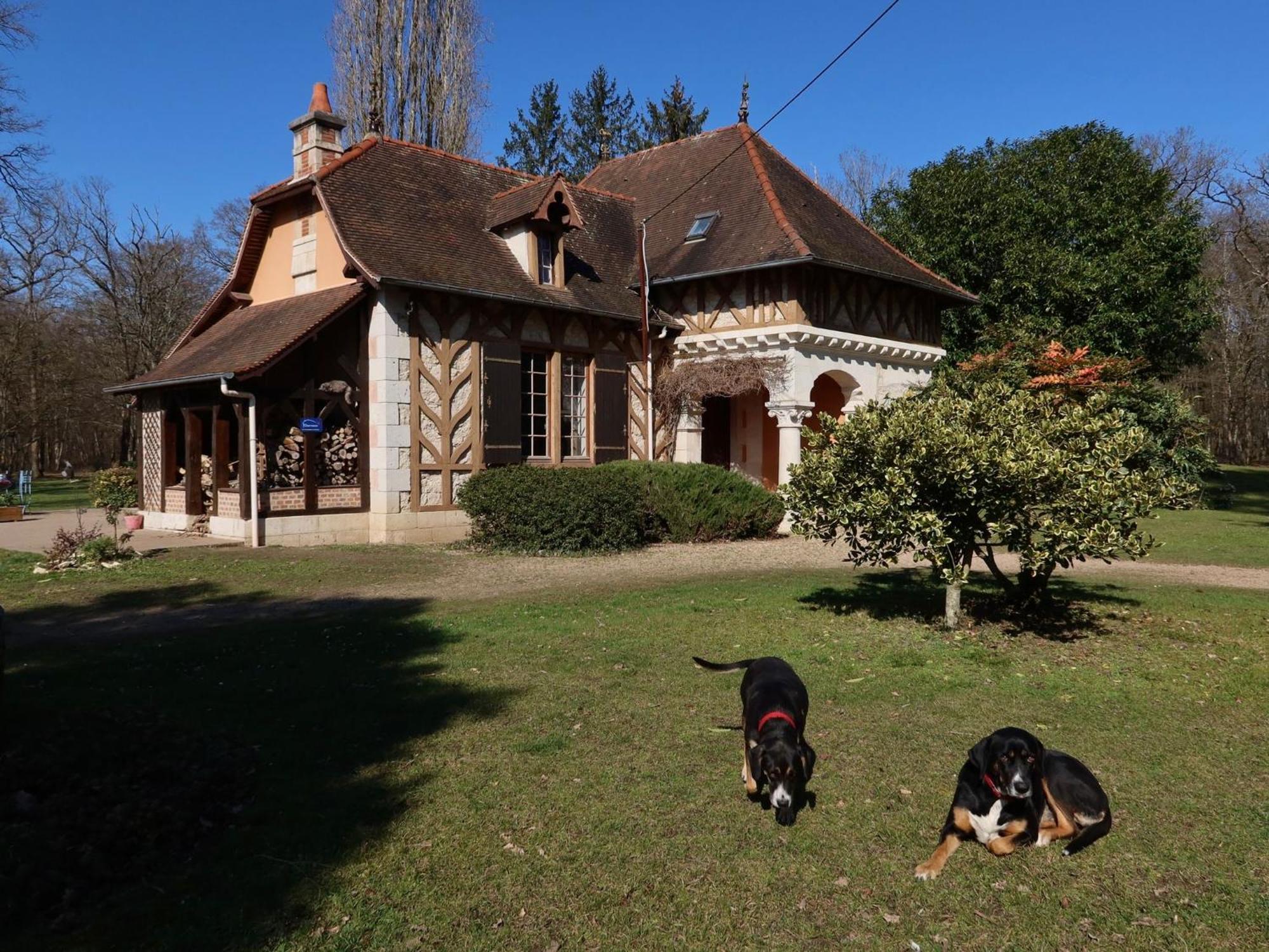 La Faisanderie Saint-Florent-sur-Cher Dış mekan fotoğraf